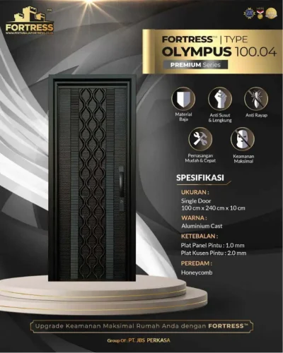 olympus-100-04